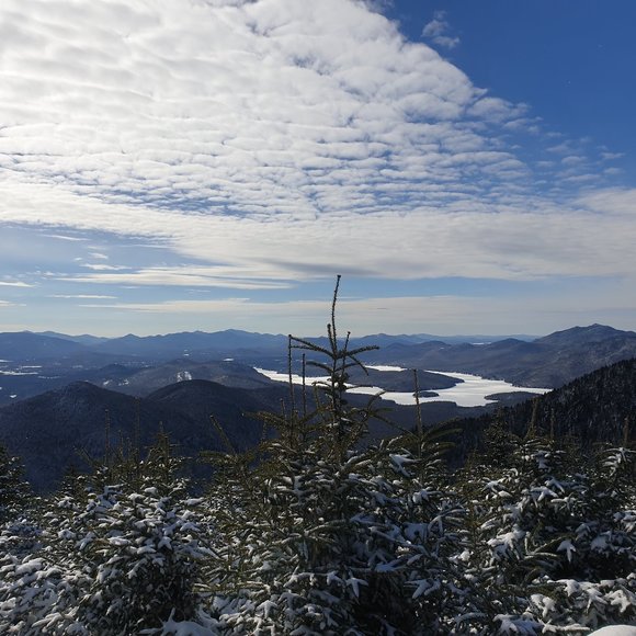 Meet your Posher, Cara - Picture 1 of 1